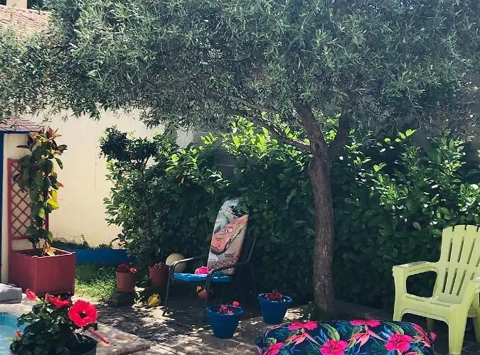 Maison De Celya Saint-Georges-dʼOrques